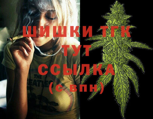 гидра Аркадак
