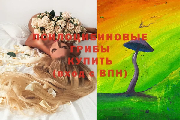 гидра Аркадак