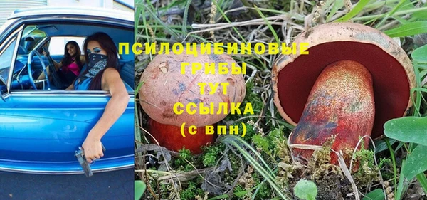 винт Армянск