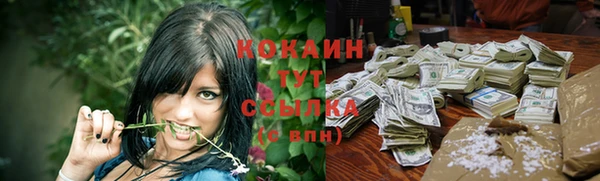 винт Армянск